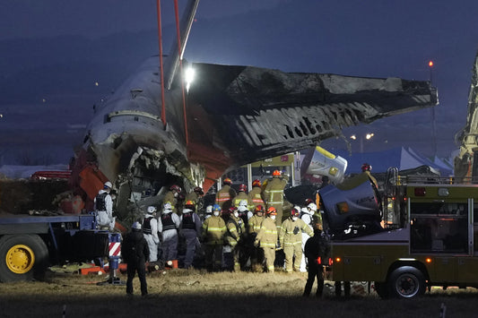 Jetliner skids off runway and bursts into flames while landing in South Korea, killing 179