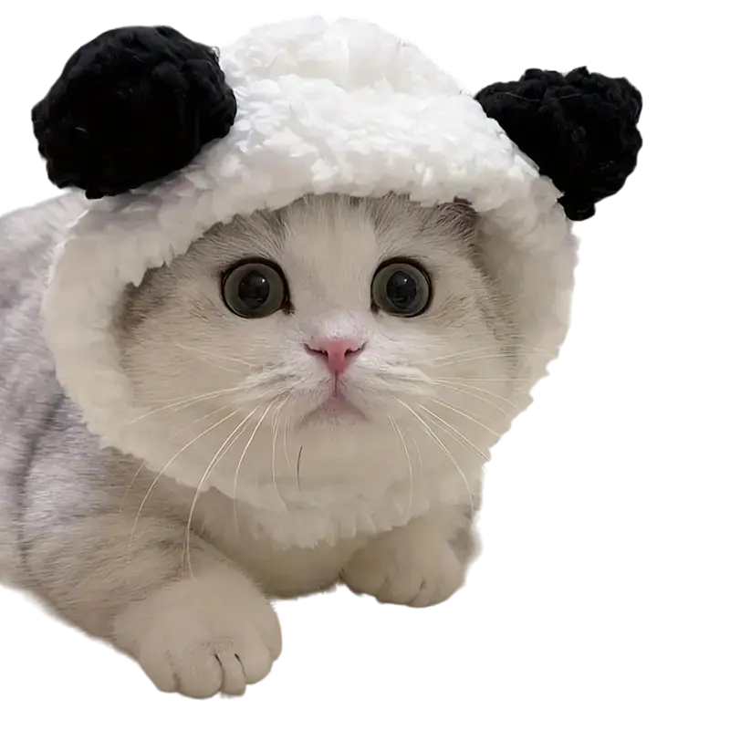 mewwifhat bear hat - WANTED