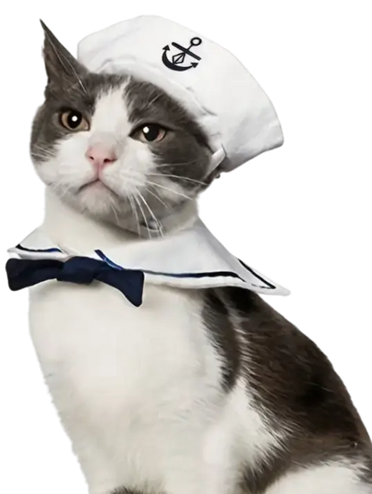 mewwifhat navy hat - WANTED