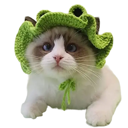 mewwifhat knitted frog hat - WANTED