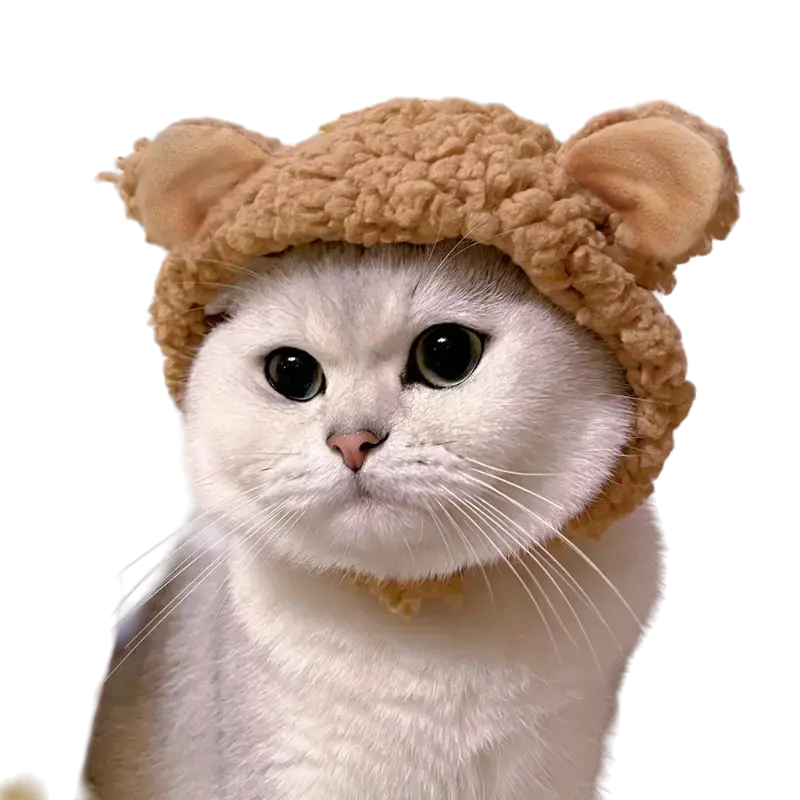 mewwifhat bear hat - WANTED