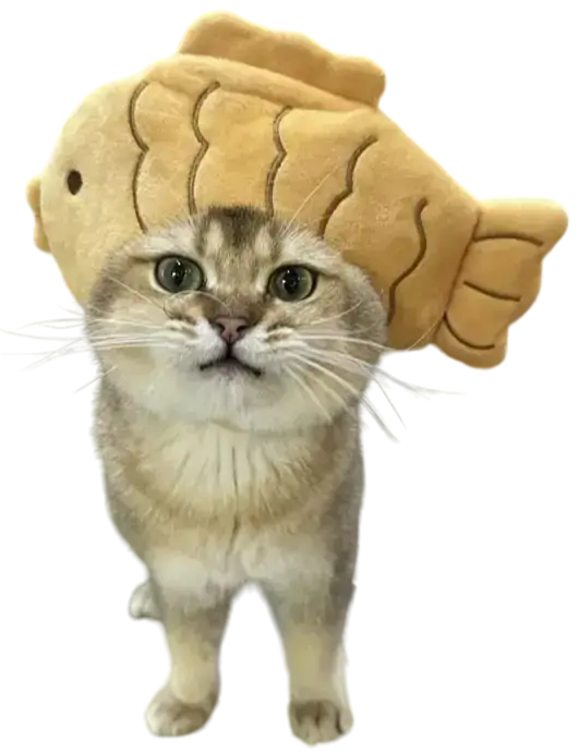 Mewwifhat fish hat