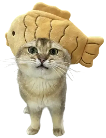 Mewwifhat fish hat