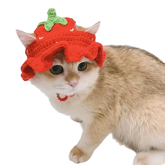 mewwifhat strawberry hat - WANTED