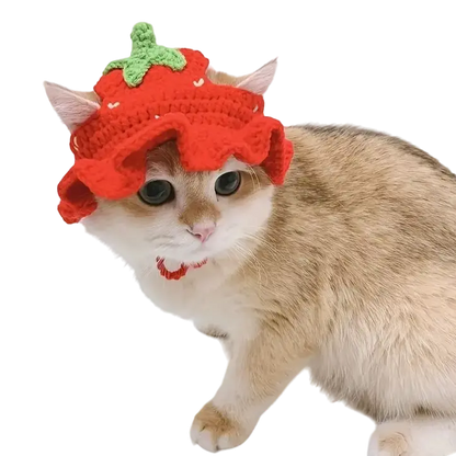 mewwifhat strawberry hat - WANTED