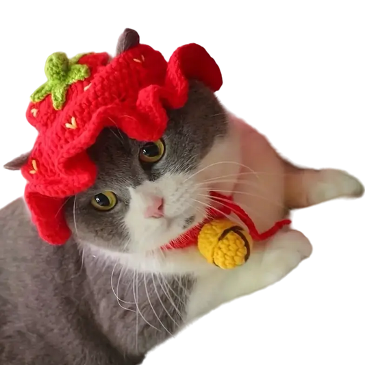 mewwifhat strawberry hat - WANTED