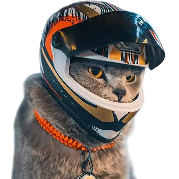 mewwifhat motorcycle helmet - WANTED