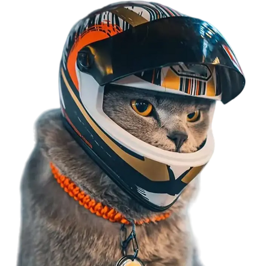 mewwifhat motorcycle helmet - WANTED