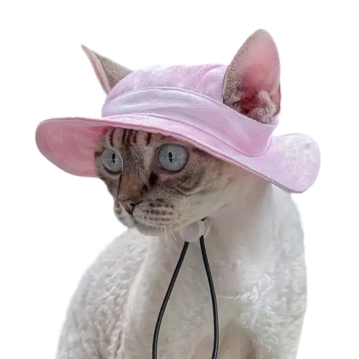 mewwifhat summer Hat - WANTED