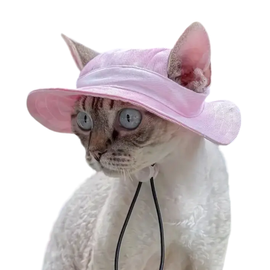 mewwifhat summer Hat - WANTED