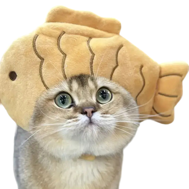 Mewwifhat fish hat