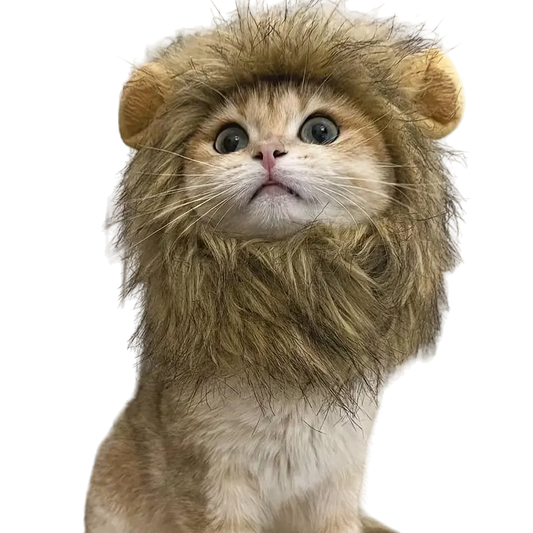 mewwifhat lion hat - WANTED