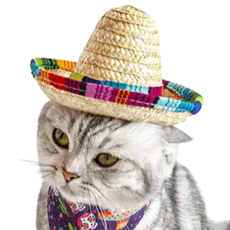 mewwifhat sombrero hat - WANTED