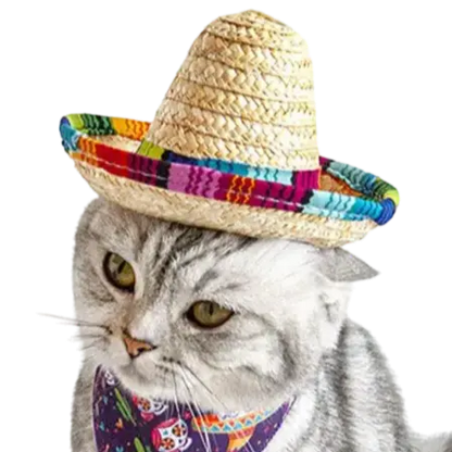 mewwifhat sombrero hat - WANTED