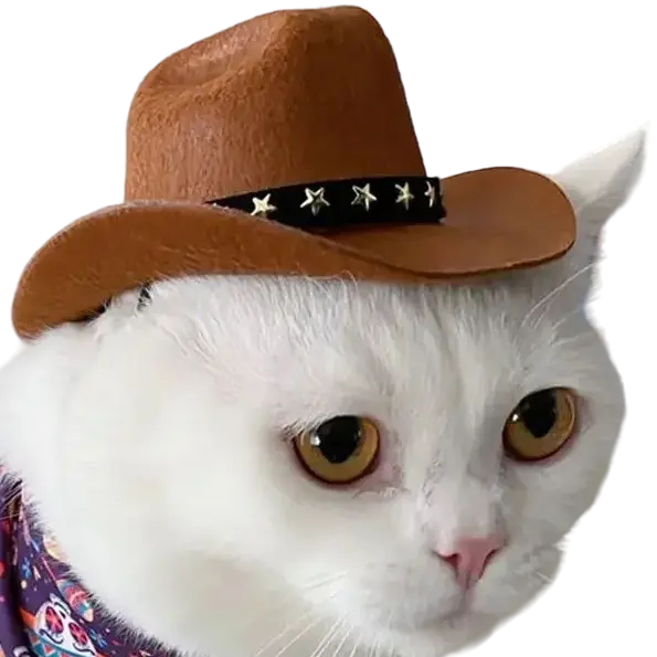 mewwifhat cowboy hat-2- WANTED