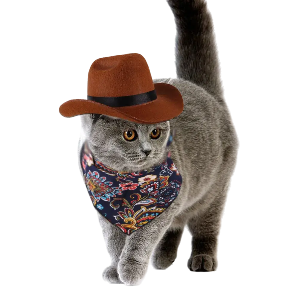 mewwifhat cowboy hat-1 - WANTED