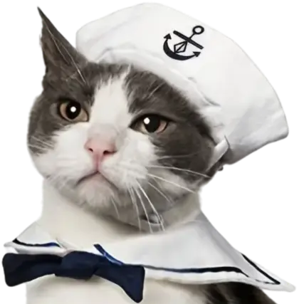 mewwifhat navy hat - WANTED