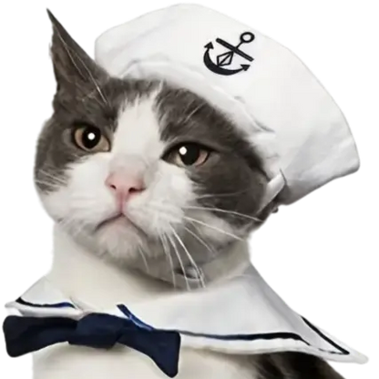 mewwifhat navy hat - WANTED